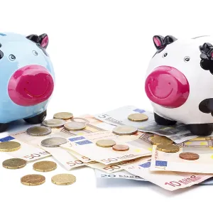 Piggy bank and money isolated on white
