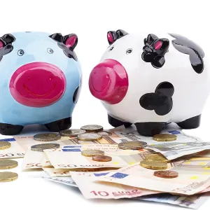Piggy bank and money isolated on white