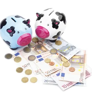 Piggy bank and money isolated on white