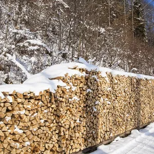 Pile of firewood. snowy firewoods in winter forest Pile of firewood. snowy firewoods in winter forest