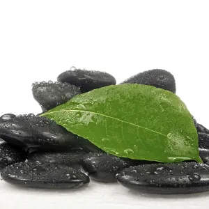 Pile of zen stones with a green leaf
