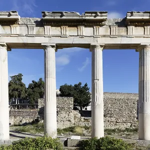Four pillars of the ancient gymnasium