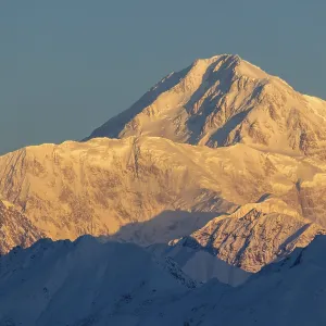 Pink Denali Mountain at Sunrise. Alaska, USA Pink Denali Mountain at Sunrise. Alaska, USA