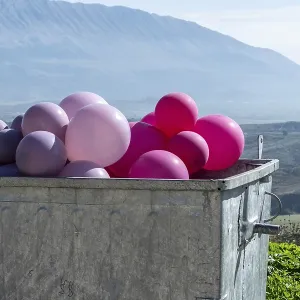 Pink and purple balloons in a container with a wide view of the mountains
