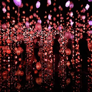 Pipilotti Rist Installation Print, National Museum of Qatar