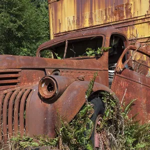 Plants growing out of vintage truck Plants growing out of vintage truck