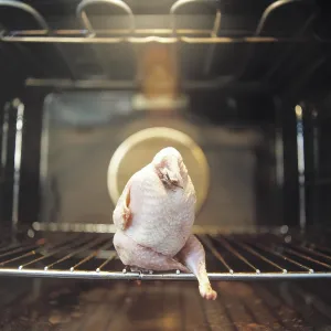 Plucked quail sitting with its legs crossed in a roasting oven Plucked quail sitting with its legs crossed in a roasting oven