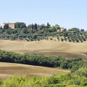 Podere in autumn, Podere in fall 14 Podere in autumn, Podere in fall 14