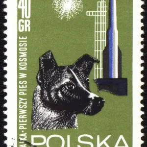 POLAND - CIRCA 1963: A stamp printed in Poland shows first dog Laika in space