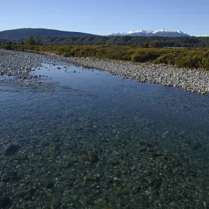 The pollution free snow-fed Haupiri River The pollution free snow-fed Haupiri River
