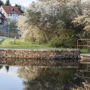 Pond Pond