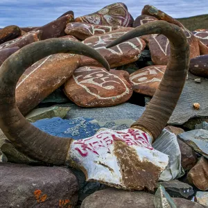 Praying stones on the Kailash Kora Praying stones on the Kailash Kora