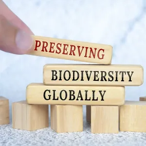 Preserving Biodiversity Globally text on wooden blocks