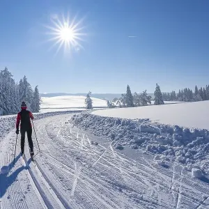 Pretty active senior woman cross-country skiing in freshly fallen powder snow in the Allgaeu Alps near Immenstadt