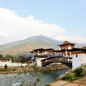 Punakha dzong with wooden cantilever bridge