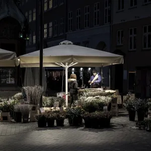 A quiet nighttime market scene with lantern-lit stalls selling plants A quiet nighttime market scene with lantern-lit stalls selling plants