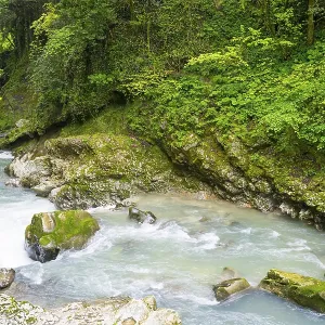 Quiet river surrounded by rocks and lush green forest Quiet river surrounded by rocks and lush green forest
