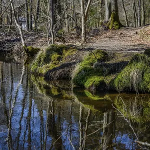 A quiet stream in the forest with mirroring reflections of the trees and moss-covered banks A quiet stream in the forest with mirroring reflections of the trees and moss-covered banks