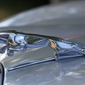 Radiator figure Jaguar on the bonnet Jaguar 3 Radiator figure Jaguar on the bonnet Jaguar 3