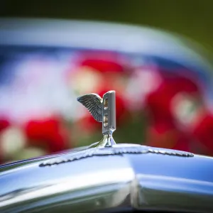 Radiator figure letter b with wings on a Bentley Radiator figure letter b with wings on a Bentley