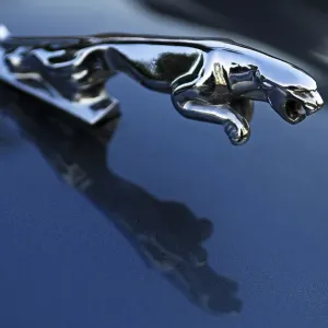Radiator mascot of a Jaguar sedan
