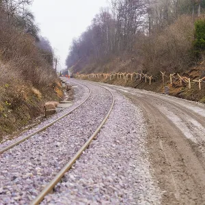 Railway tracks wind their way through a wooded Railway tracks wind their way through a wooded