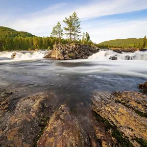 Rapids in the river Namsen, coniferous forest Rapids in the river Namsen, coniferous forest