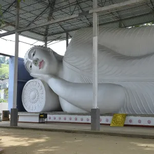 Reclining Buddha, Temple, Gampola, Sri Lanka Reclining Buddha, Temple, Gampola, Sri Lanka