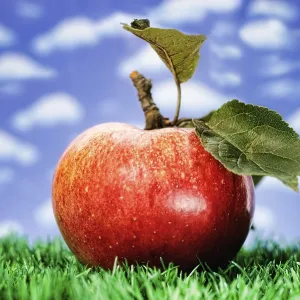 Red apple Red apple
