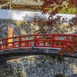 Red bridge between orange autumn leaves in a traditional Japanese garden