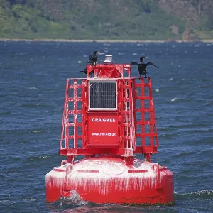 A red buoy with a cormorant rests on the sea