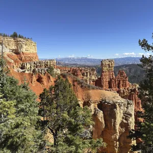 Red cliffs and thick forests stretch to the horizon under deep blue skies