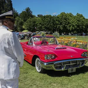 Red Ford Thunderbird, classic car meeting
