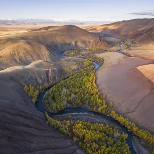 Red Hills of Clay, Mountains, Larches and Meanders of River in Autumn Red Hills of Clay, Mountains, Larches and Meanders of River in Autumn
