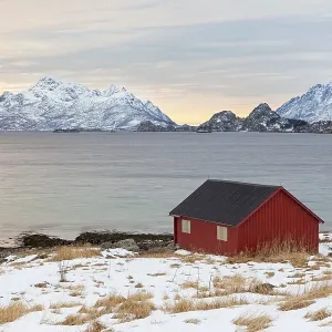 Red house at a fjord in winter Red house at a fjord in winter