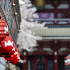 Red lanterns on Nakamise-dori shopping street Red lanterns on Nakamise-dori shopping street