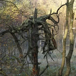 Red Moor, Rhoen, Hesse, Germany, Europe