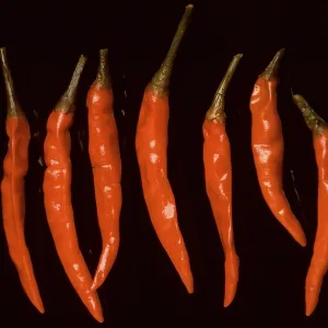 Red, pickled chilli peppers Red, pickled chilli peppers