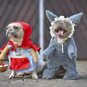 Red Pied French Bulldog as Little Red Riding Hood Print