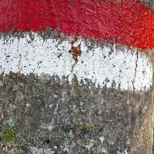 Red and white sign on a tree trunk used to mark paths in the forest Red and white sign on a tree trunk used to mark paths in the forest