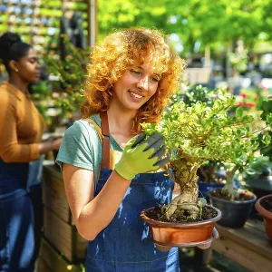 Redhead gardener wearing gloves holding a bonsai tree in a terracotta pot Redhead gardener wearing gloves holding a bonsai tree in a terracotta pot