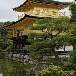 Reflection, Rokuon-ji Kinkaku (Golden Pavilion)