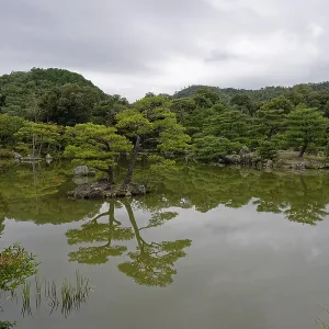 Reflection, tree, Kyoko-chi pond