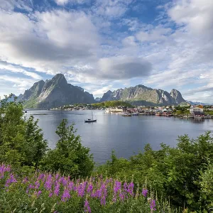 Reine, Reinefjord with mountains Reine, Reinefjord with mountains