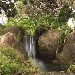 Relaxing, zen like pond with a waterfall