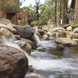 Relaxing, zen like pond with a waterfall