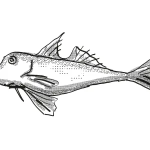Retro cartoon style drawing of a red gurnard Retro cartoon style drawing of a red gurnard