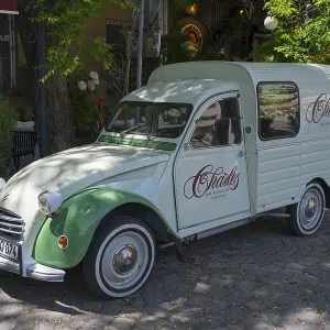 Retro-colored Citroen car parked in shady area under trees Retro-colored Citroen car parked in shady area under trees