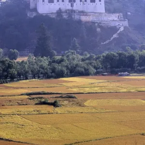 Rinpung Dzong, also known as Paro Dzong Rinpung Dzong, also known as Paro Dzong