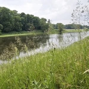 River course with grassy bank and forest in the background under a cloudy atmosphere River course with grassy bank and forest in the background under a cloudy atmosphere